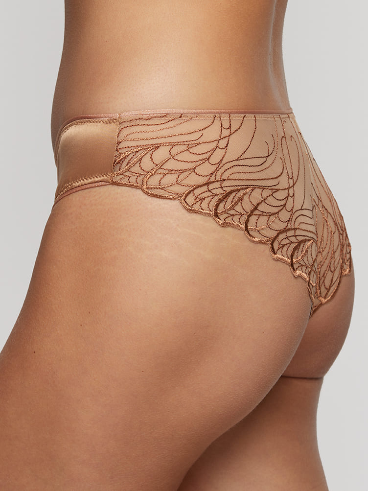 V-Shape Embroidered Tulle Brazilian Panties - JOYFULL - BLEU CIEL